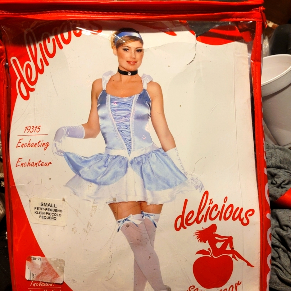 Sexy Cinderella Costume